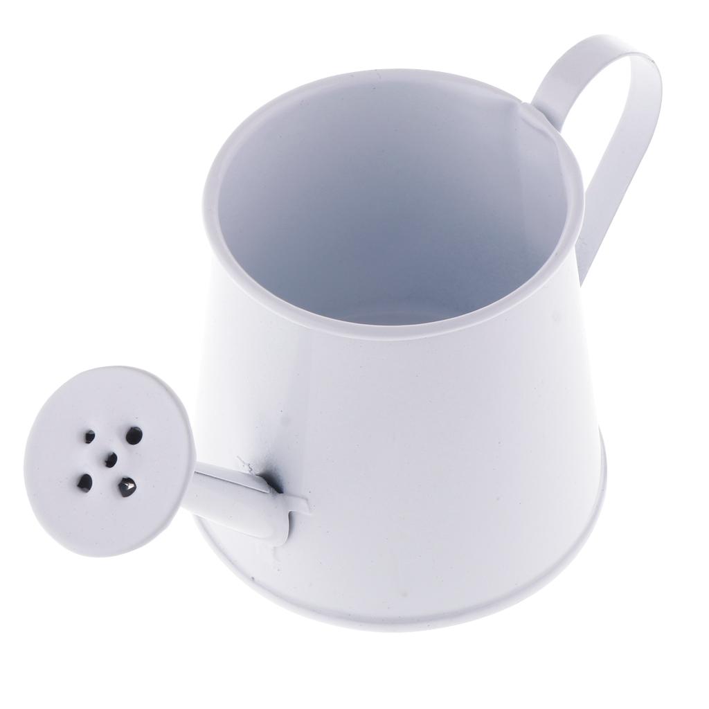 Pastoral Style Colorful Tin Flower Pot Mini Bonsai Watering Can Pot