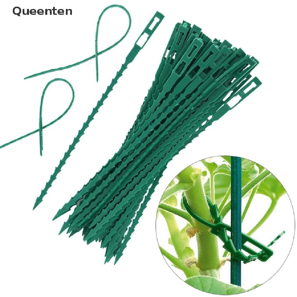 Queenten 50/100pcs Reusable Plastic Plant Support Clips clamps Plants Hanging Vine Garden  QT