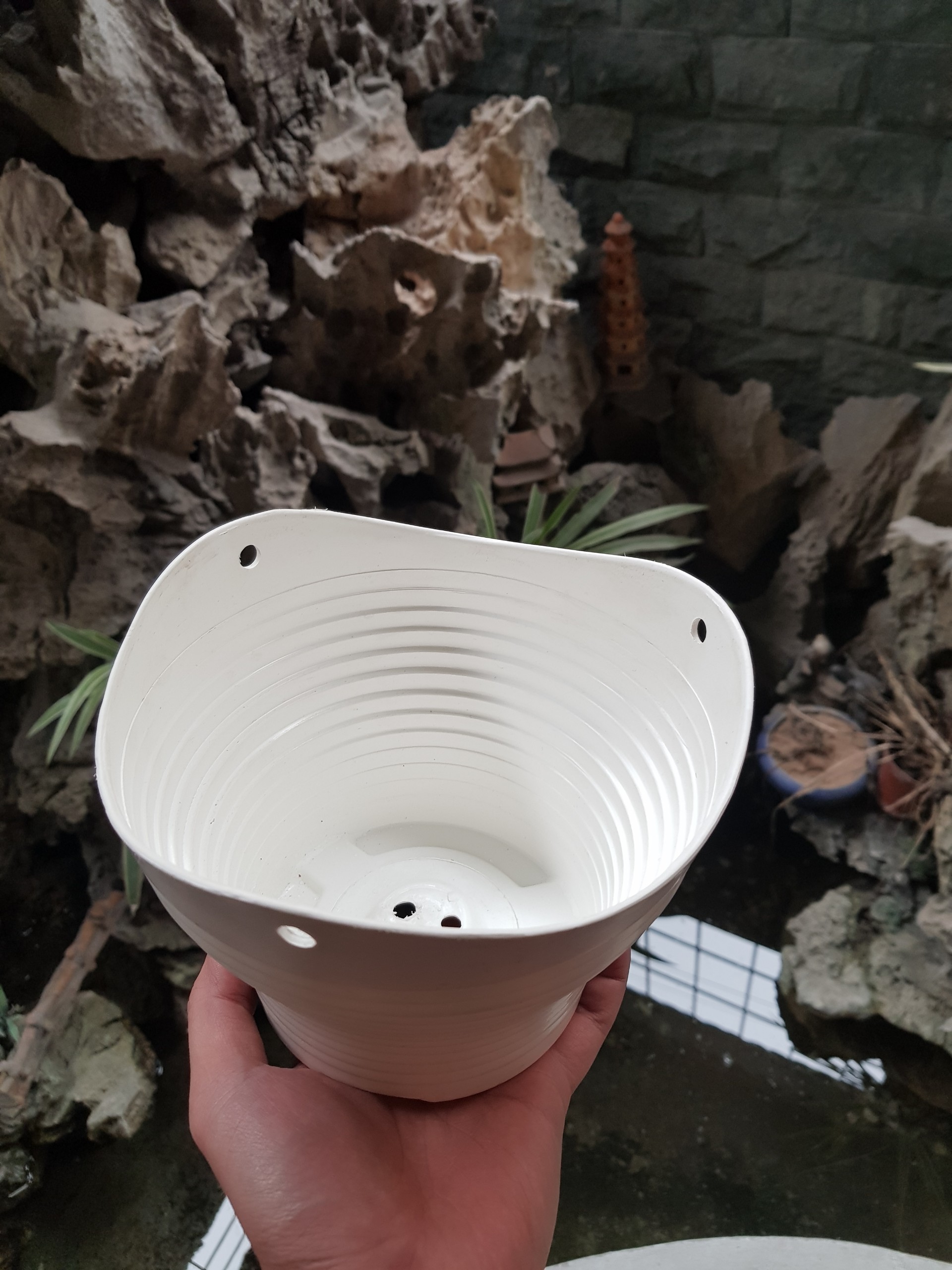 5 Chậu Sóng Trồng Hoa Bằng Nhựa Có Móc Treo Đường Kính Miệng 18cm