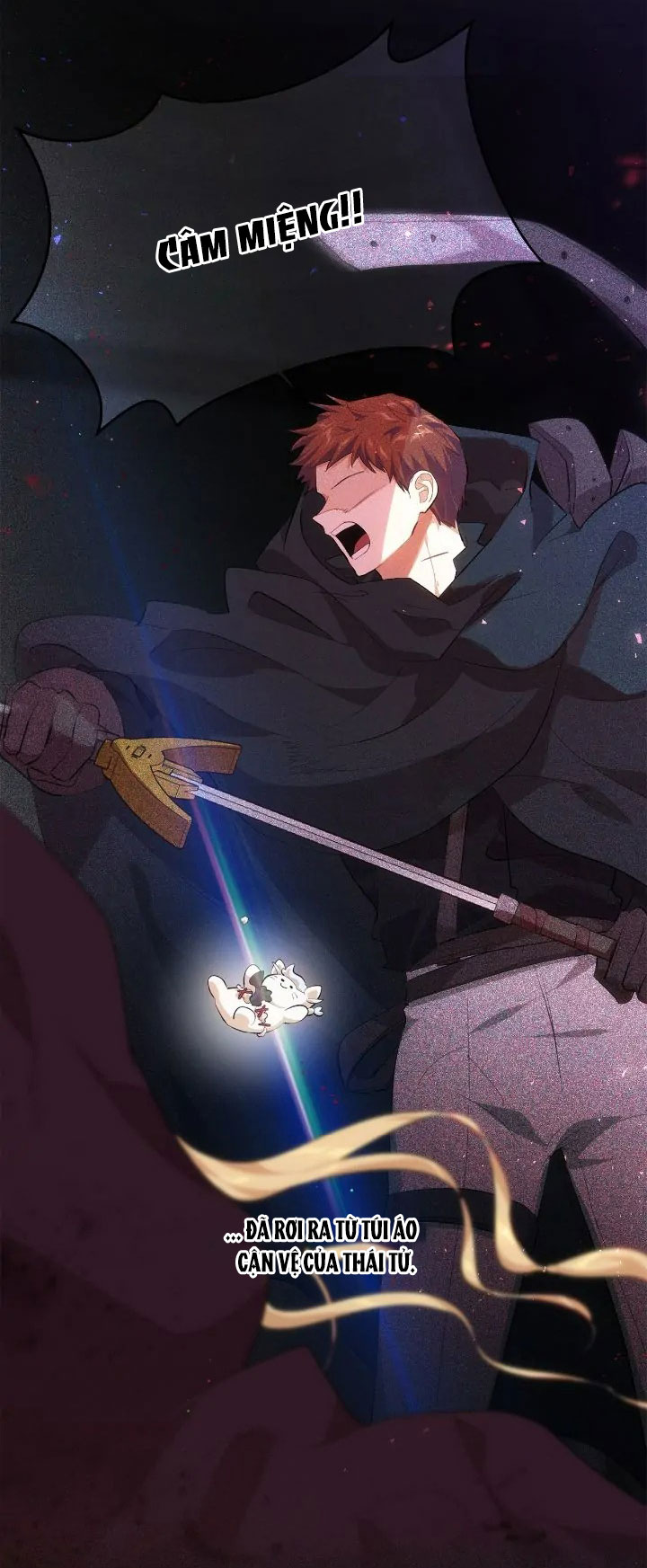 tôi là fan cứng hoàng tử chapter 78.2 46