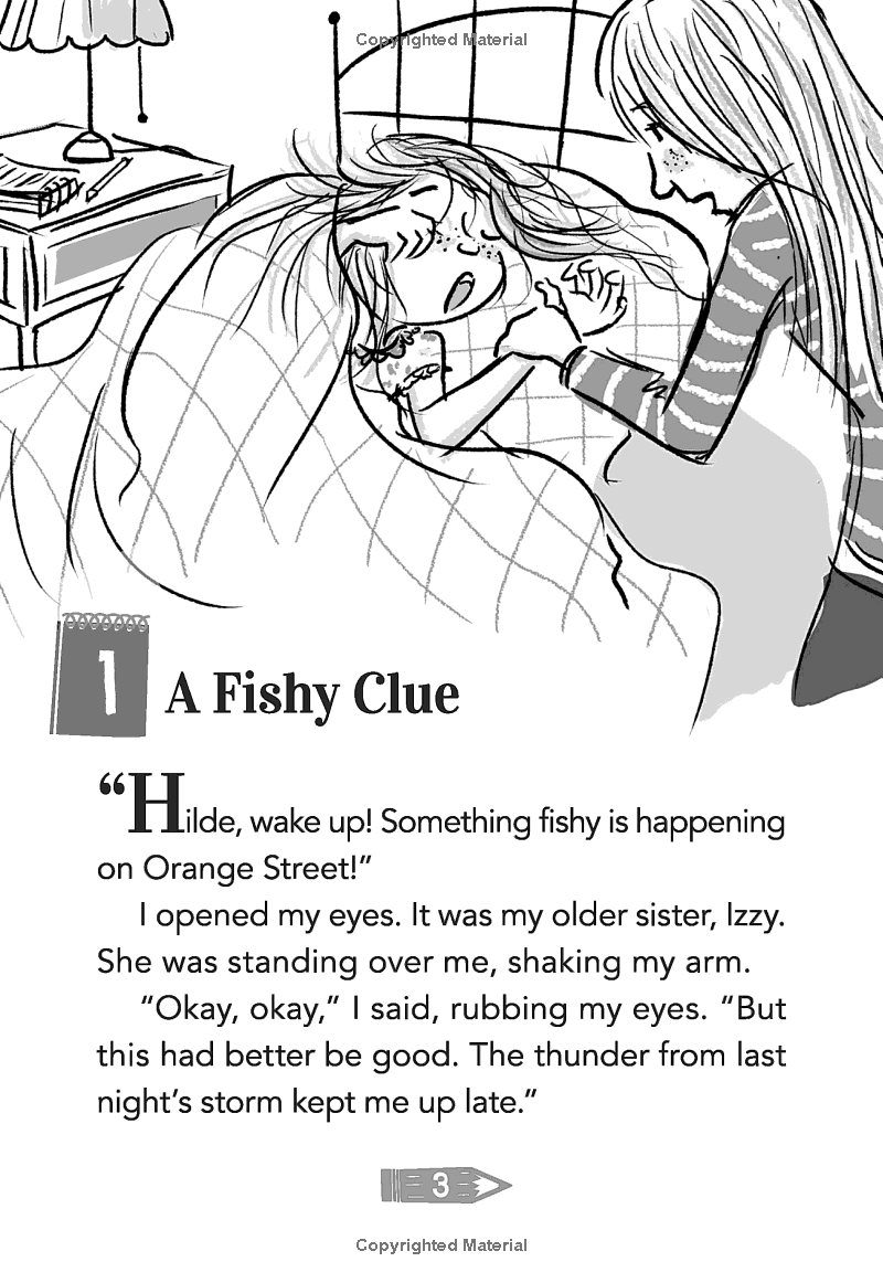 Sách ngoại văn: Hilde Cracks The Case - Book 5 - Tornado Hits!