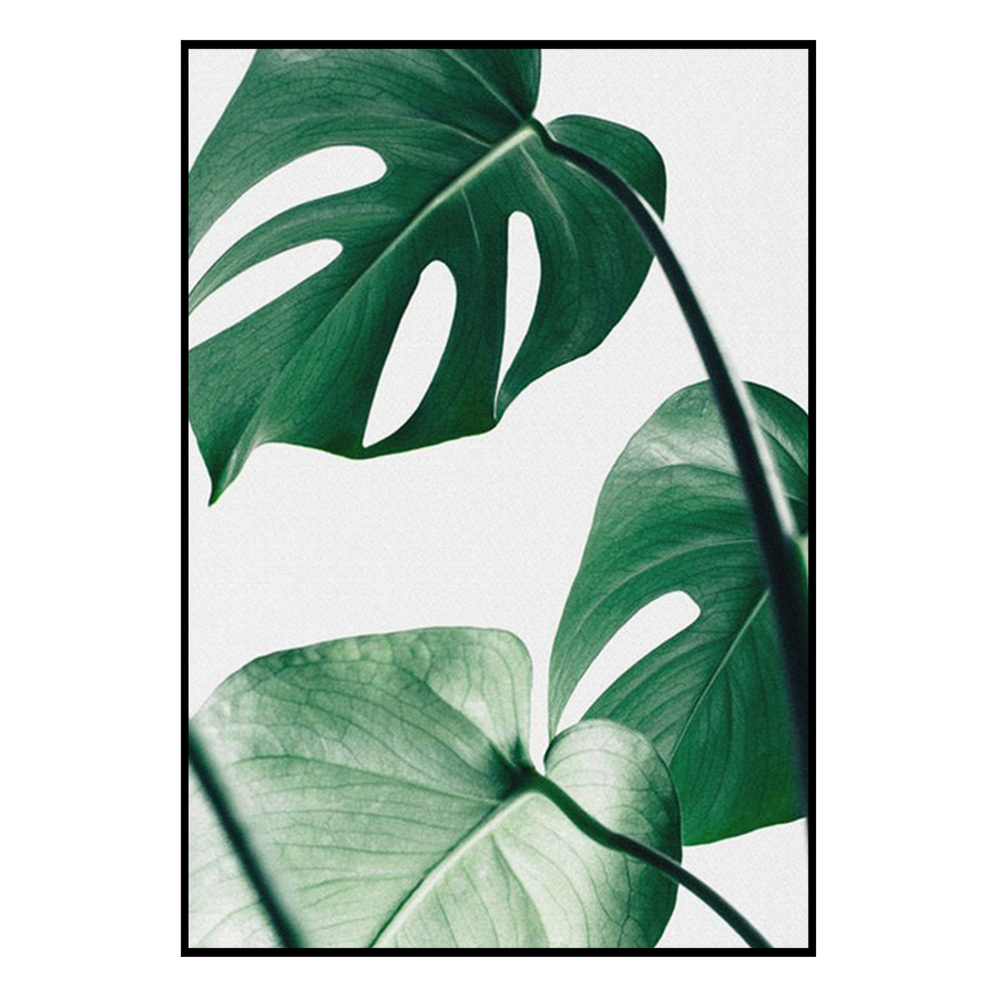 Bộ 3 Khung Tranh Treo Tường Carehouse Canvas Lá CVCXJ2-LA