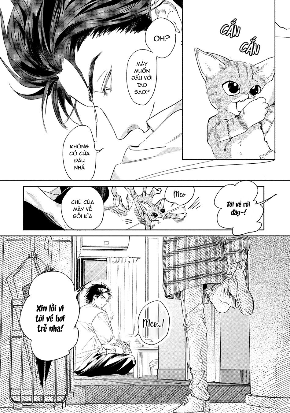 tình đầu điên dại chapter 3 4