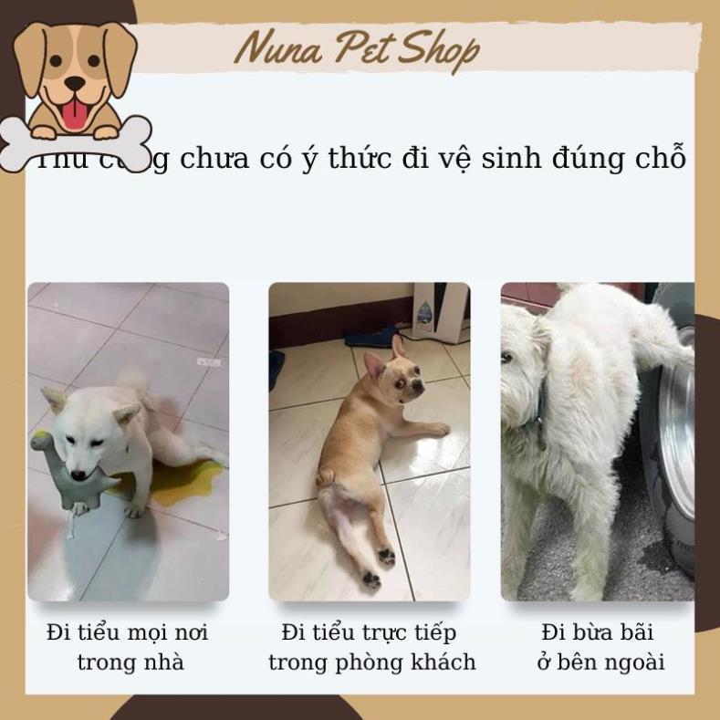 Chai xịt định vị nơi đi vệ sinh cho chó mèo (Lọ xịt hướng dẫn thú cưng đi vệ sinh đúng chỗ)