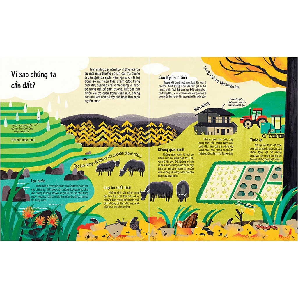 Under Your Feet - Dưới Đôi Bàn Chân Bạn - Đất, Cát Và Ti Tỉ Thứ Dưới Lòng Đất