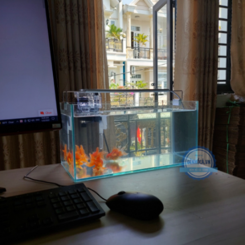 Bể cá mini 40cm COMBO đầy đủ - COMBO 40-WHITE