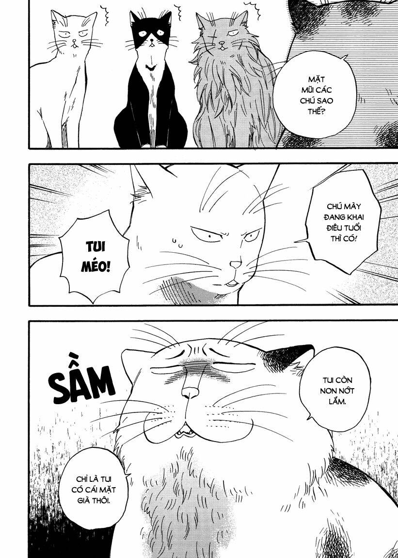 tui là busamen! chapter 7 3