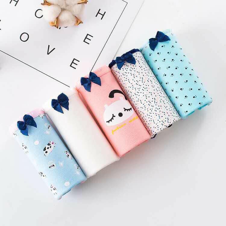 Quần lót học sinh chất cotton họa tiết dễ thương set 5c - QLHS01