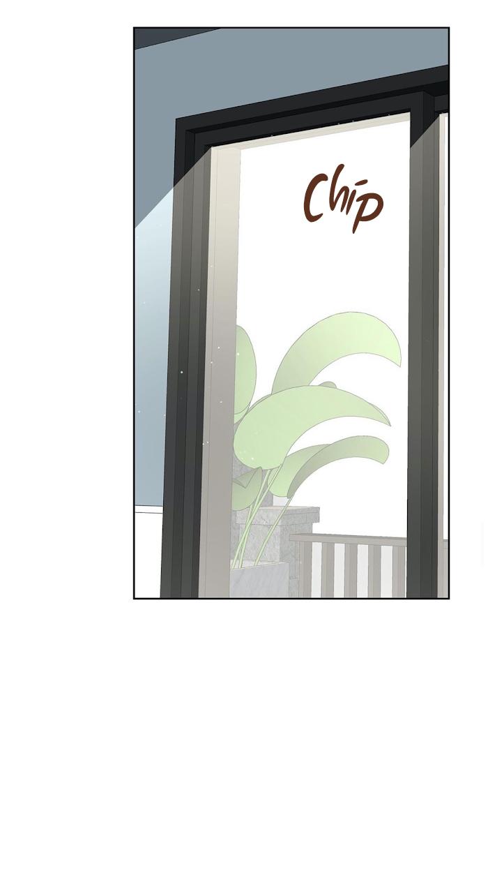 thầy giáo thể dục m chapter 21 42