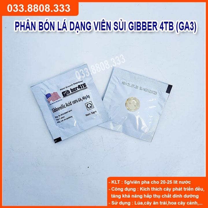 10 Viên kích thích sinh trưởng GA3  - giúp cây lớn nhanh