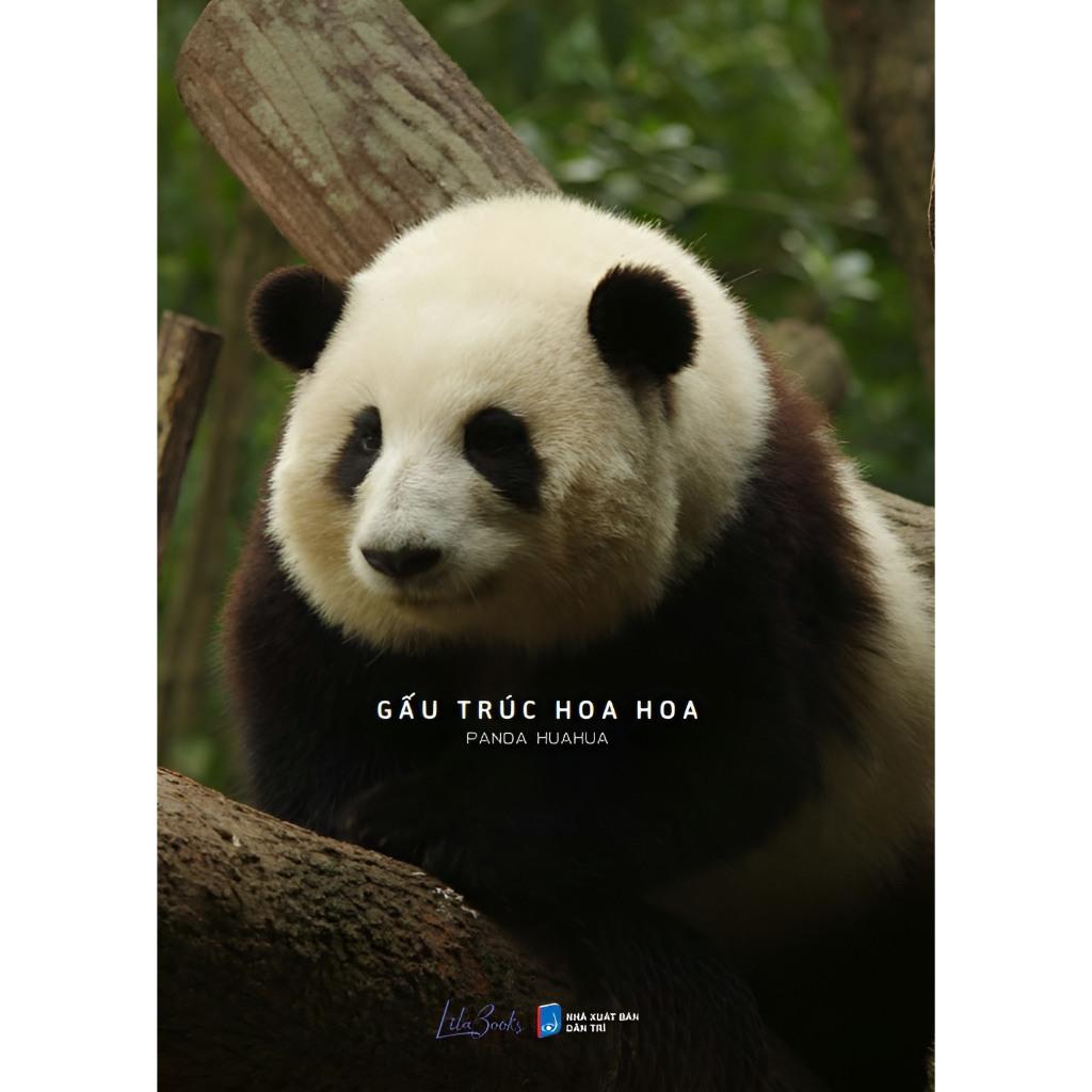 Hình ảnh Gấu Trúc Hoa Hoa  - Bản Quyền