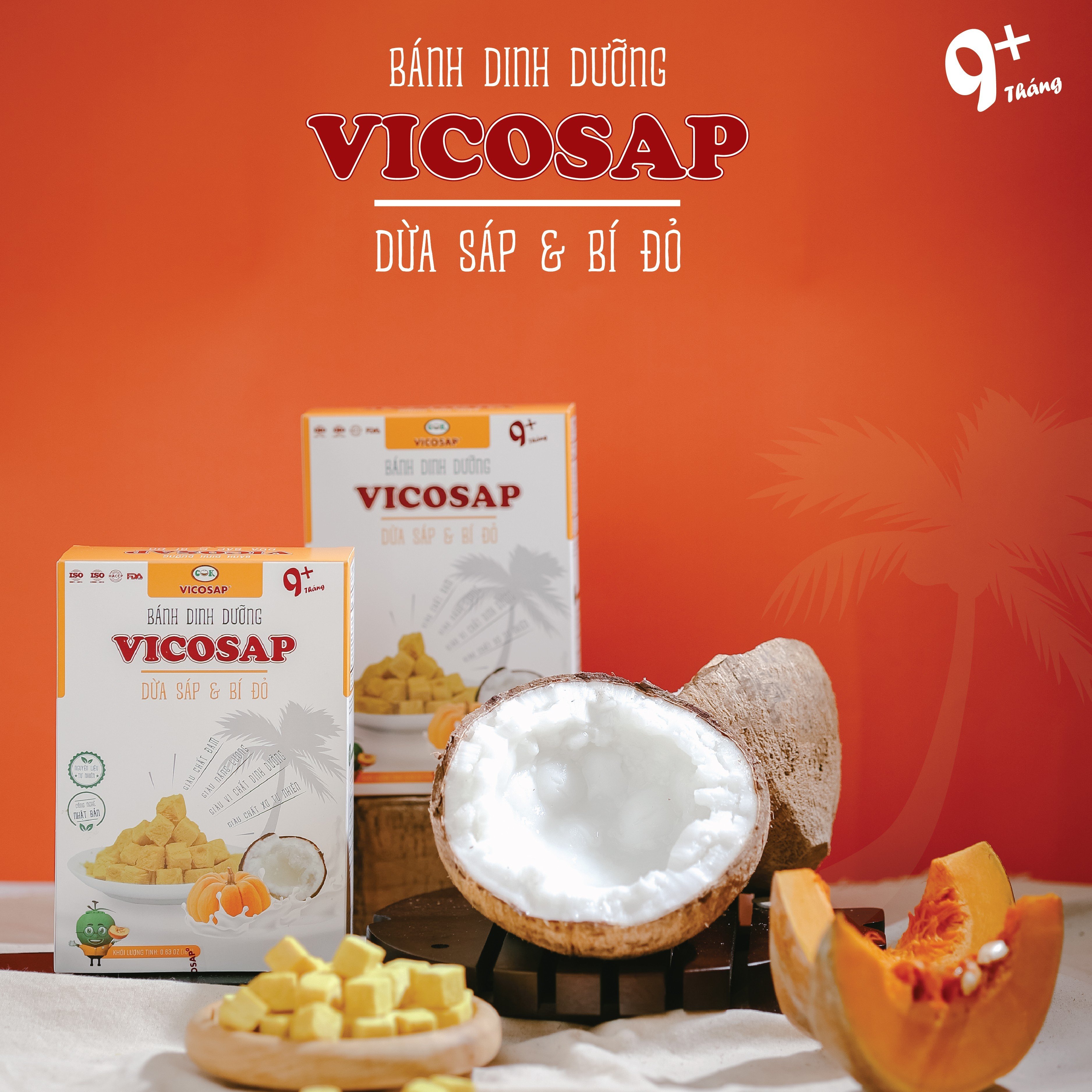 BÁNH DINH DƯỠNG DỪA SÁP & BÍ ĐỎ VICOSAP