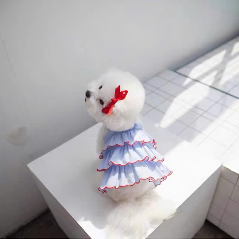 VÁY THÚ CƯNG CHÓ MÈO DỄ THƯƠNG