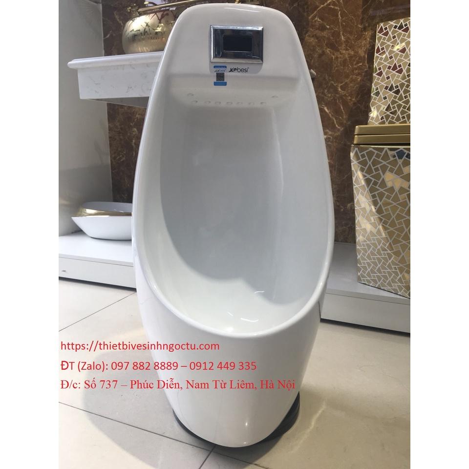 Tiểu nam cảm ứng cỡ vừa treo tường nhập khẩu chính hãng GROVES R507 (70 cm)