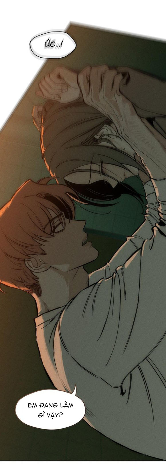 [18+] Nước Mắt Trên Đóa Hoa Tàn chapter 15.1 27