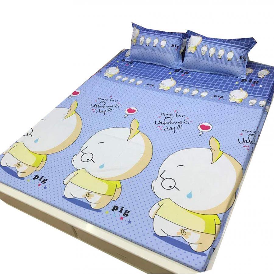 Set 5 món chăn hè ga chun Cotton Poly lợn