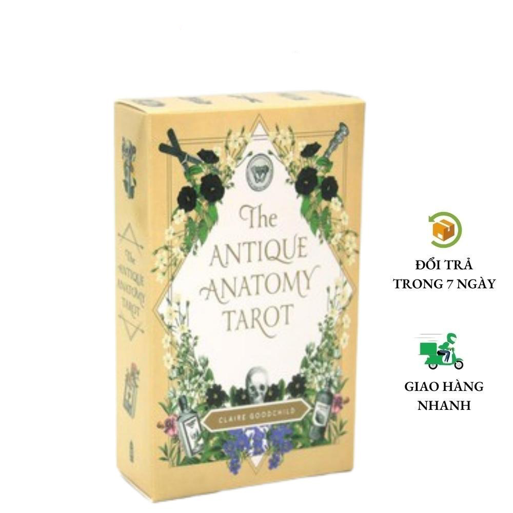 Bộ bài The Antique Anatomy Tarot T9