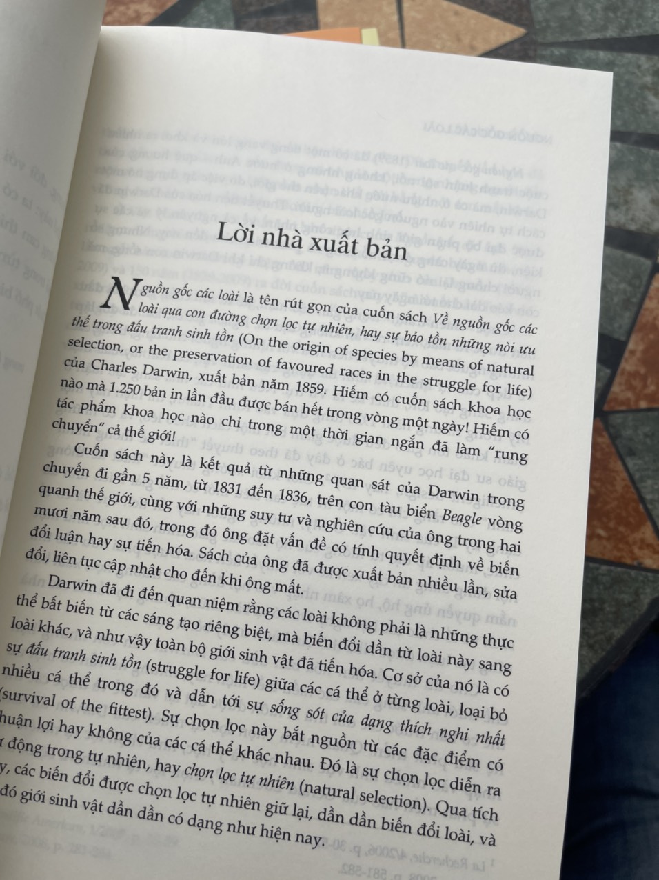 (Giải thưởng sách Quốc gia 2022) (Tái bản 2023) NGUỒN GỐC CÁC LOÀI - Charles Darwin - Trần Bá Tín dịch - Nxb Tri Thức