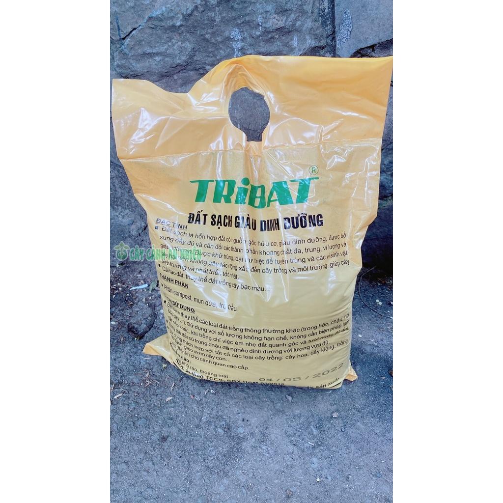 Đất TriBat Trồng Cây