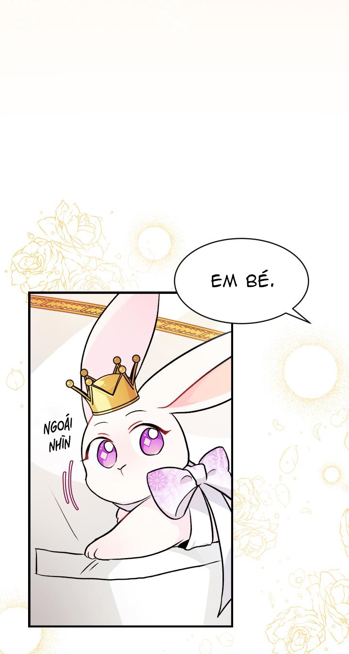 mối liên kết giữa báo đen và bé thỏ chapter 18 11