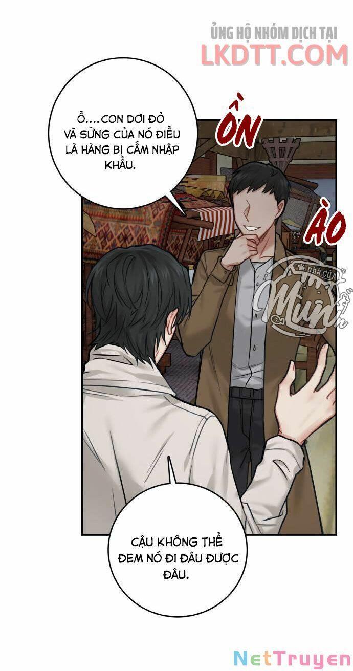 nhật ký tuần trăng mật của phù thủy và rồng chapter 43 66