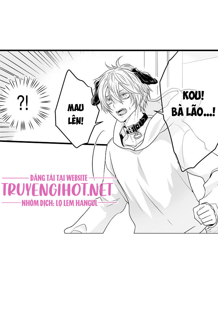 gấu ngủ đông chapter 9.3 13