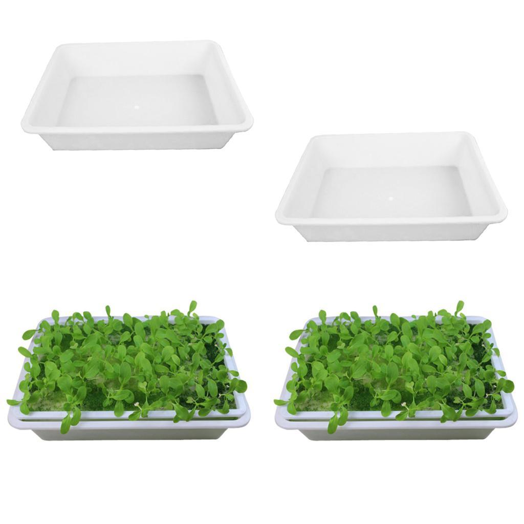 2x Grow Tray Seed Starting Plant Propagation Germination Garden