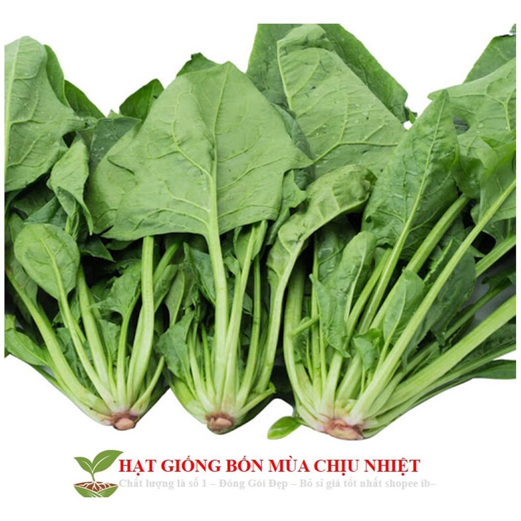 GÓI 100 HẠT GIỐNG CẢI BÓ XÔI 10g Hạt Giống Cải Bó Xôi - Chịu Nhiệt, Dễ Trồng Rau Chân Vịt