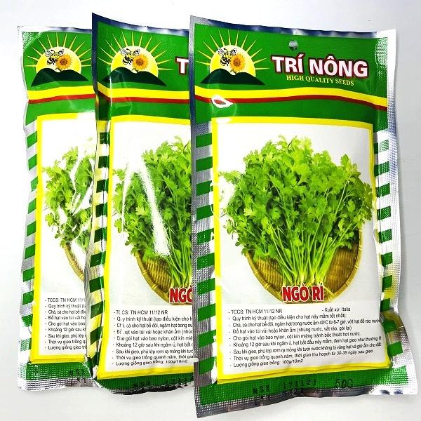 Hạt giống cây rau ngò rí