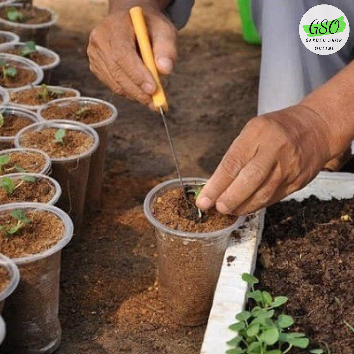 XƠ DỪA TRỘN SẴN - Đất trồng cây bằng xơ dừa