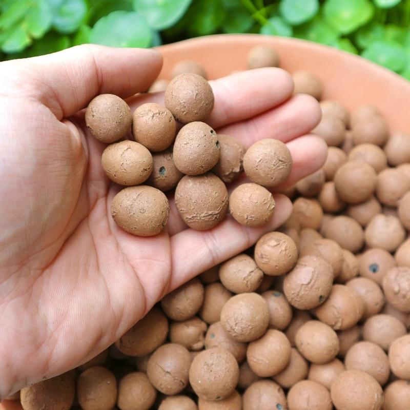 Viên đất nung Popper hạt Leca hỗ trợ trồng cây thuỷ sinh, giúp bám rễ tốt, thoáng khí