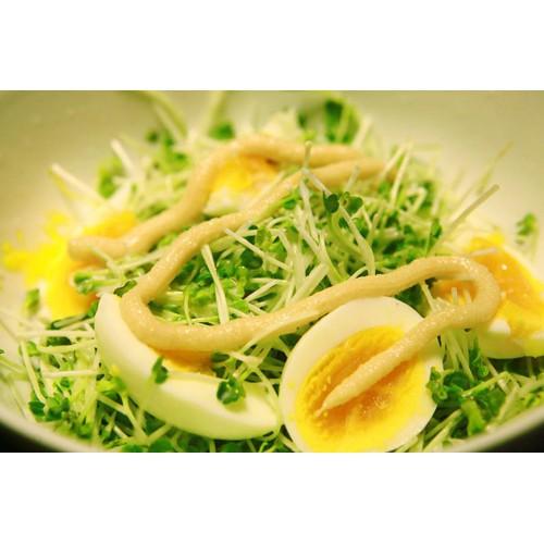Hạt Giống Rau Mầm Cải Ngọt 30Gr Giàu Dinh Dưỡng - Phú Nông Seeds - Shop Đất sạch, Phân Bón, Hữu Cơ, Xơ Dừa