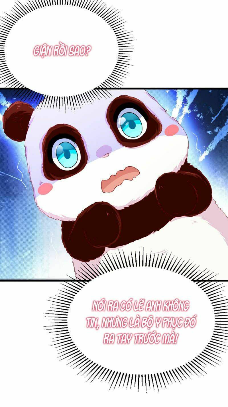 thiên thần gấu trúc muốn được ôm chapter 10 12