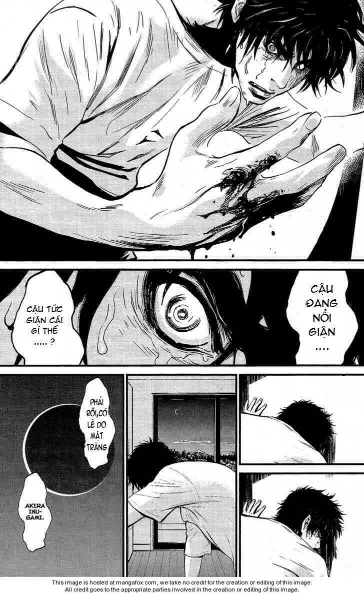 wolf guy - wolfen crest chapter 69 19