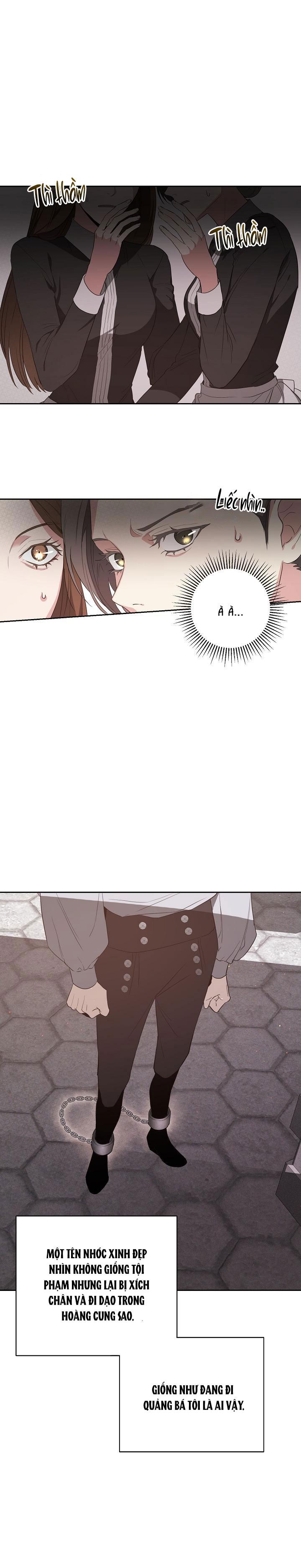 hai đất nước, đất nước của nô lệ chapter 8 7