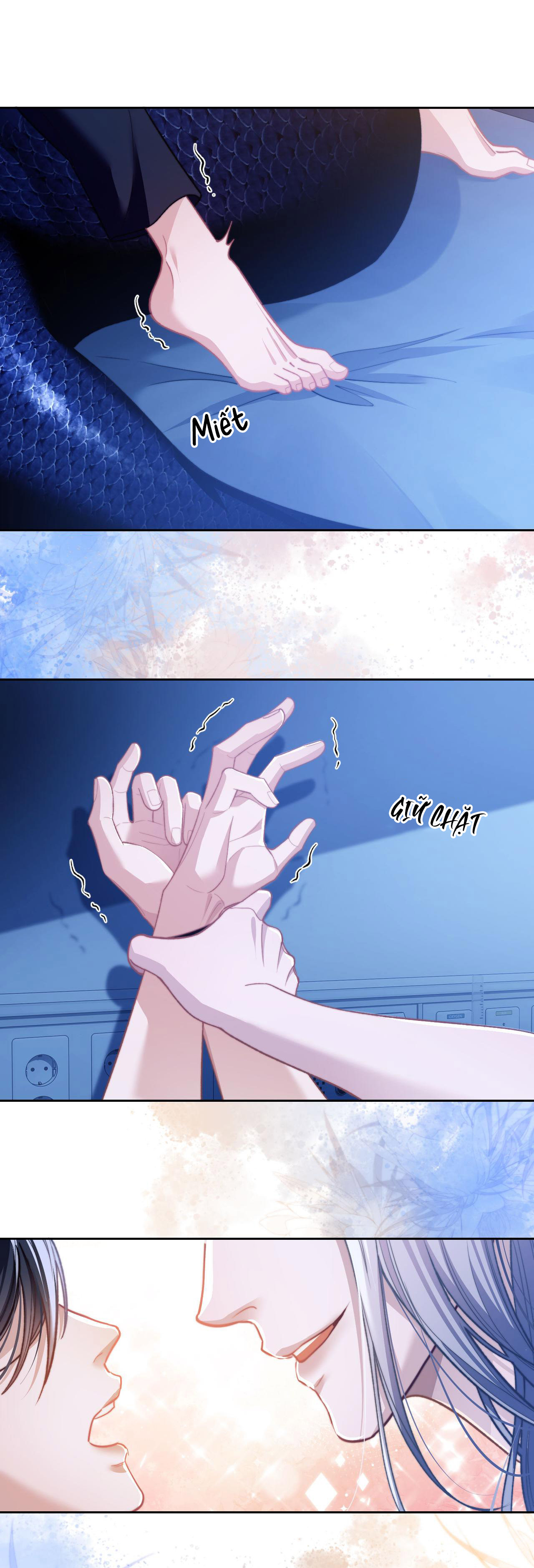 nhân ngư dessaro chapter 16 1