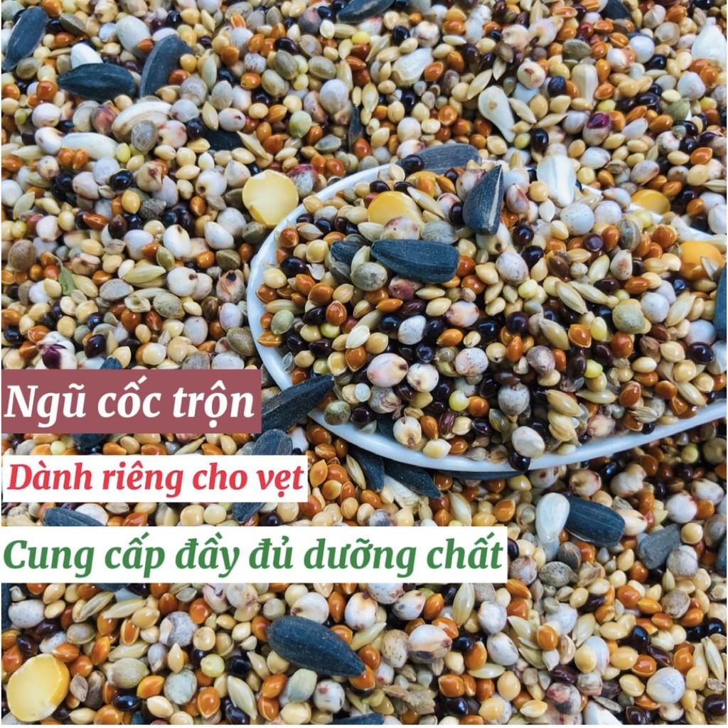 Hạt trộn cao cấp cho vẹt, thức ăn hoàn chỉnh cho vẹt Sun, Lovebird, Xích, Xám Châu Phi...