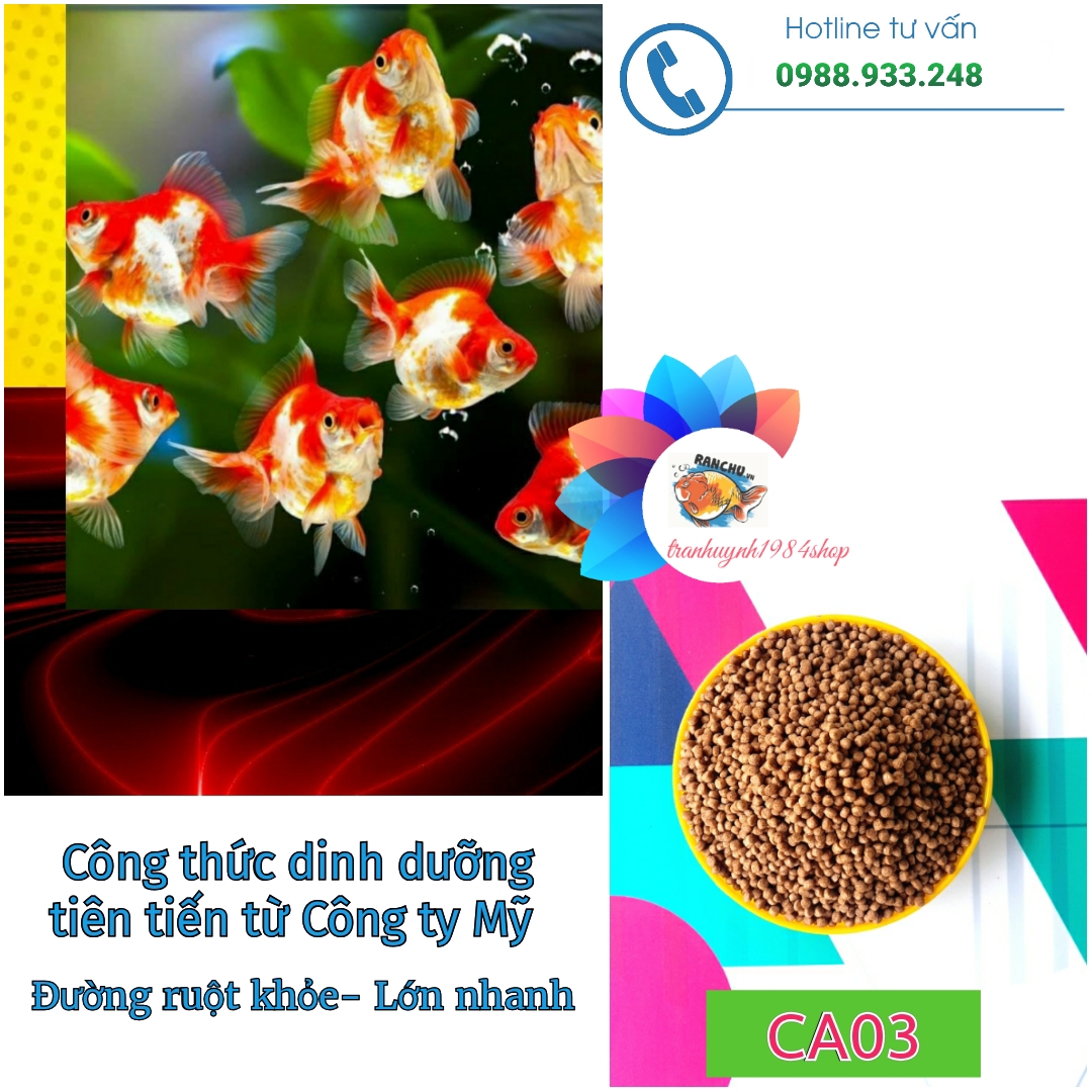 Cám cá Vàng, cá Koi AF A01 đạm chuẩn 40% Xuất khẩu Mỹ| Túi 1Kg