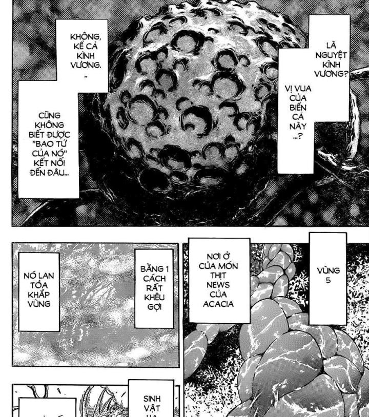 thánh tỏi sành ăn chapter 341 36