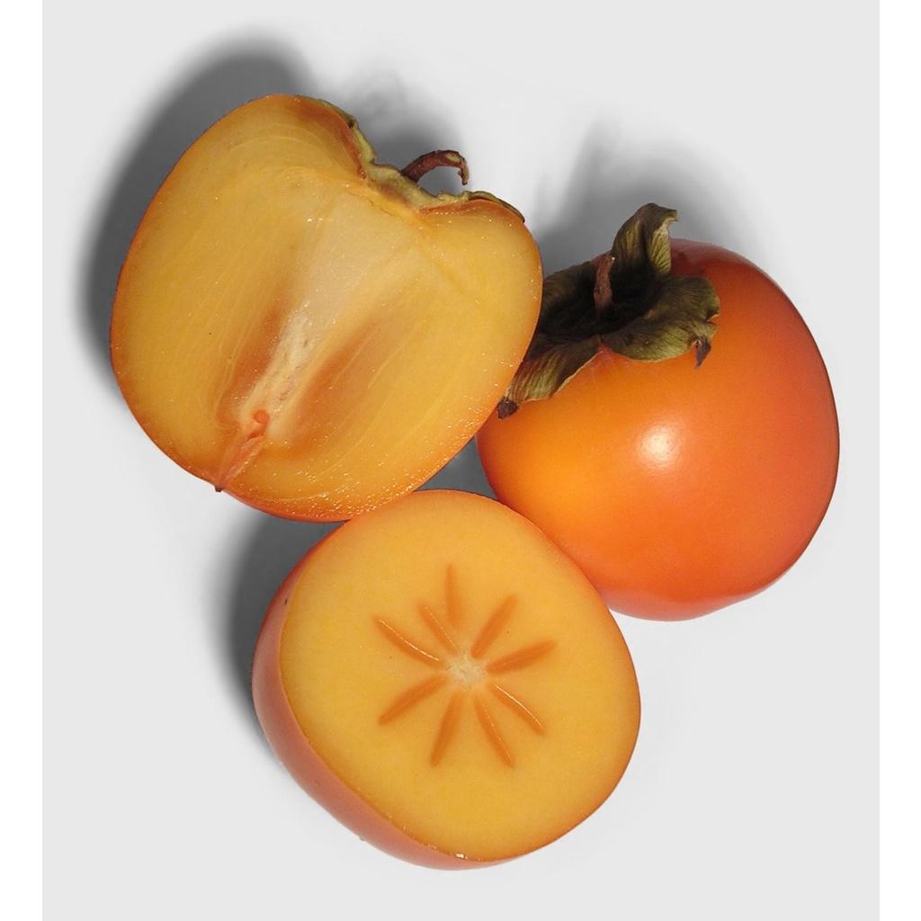 CÂY GIỐNG HỒNG GIÒN - SIÊU TRÁI, SIÊU GIÒN, NGỌT