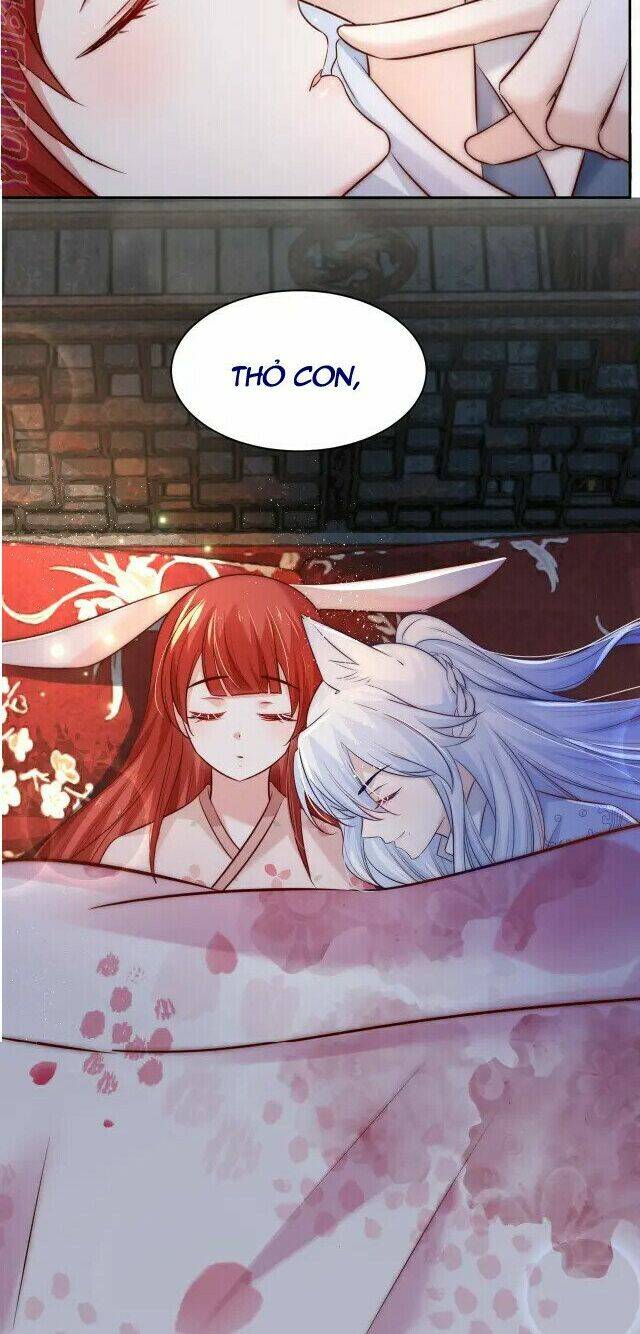 hắc hóa nam chính trực tuyến nuôi thỏ chapter 38 15