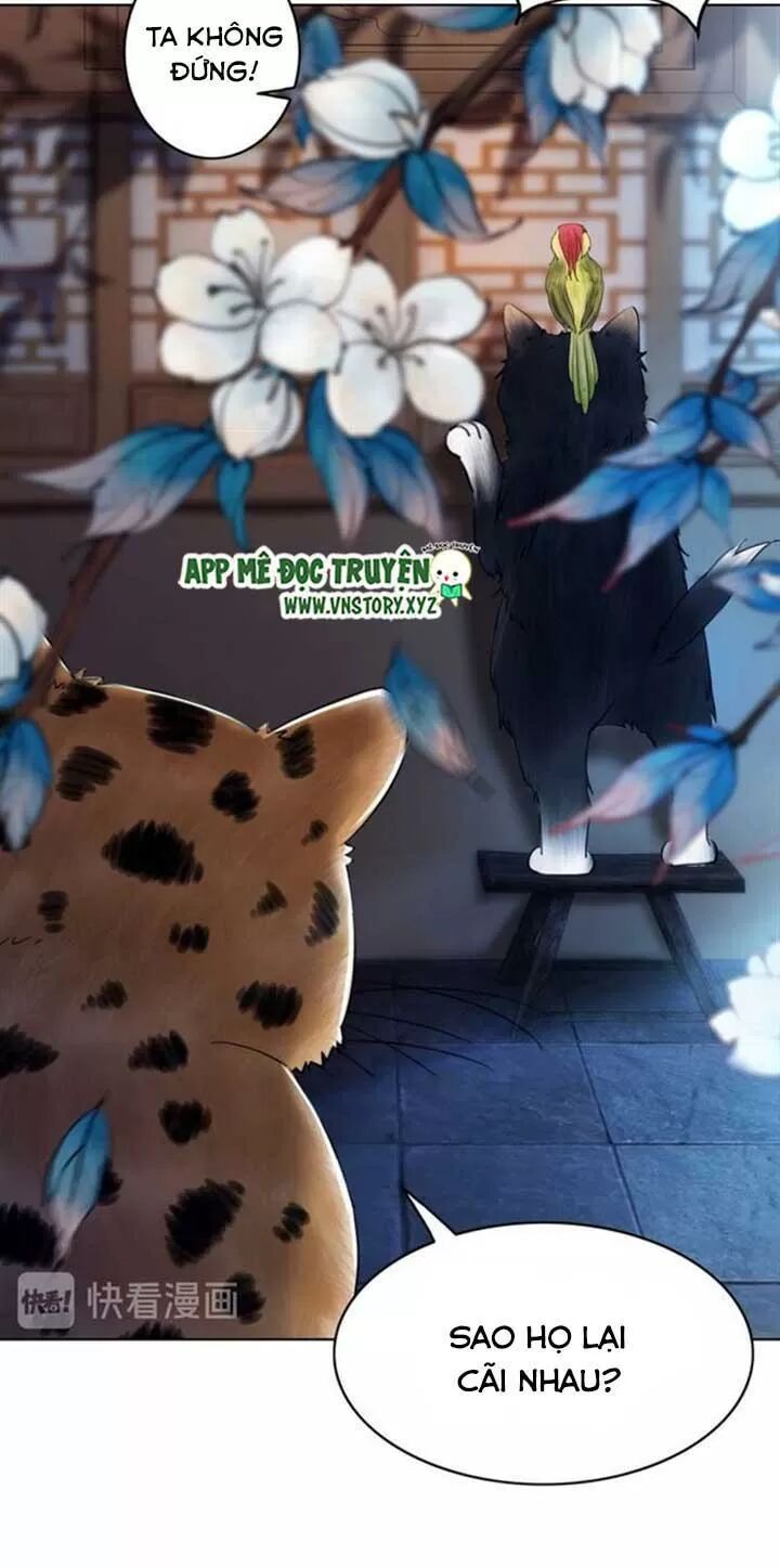 cực phẩm phế vật tiểu thư chapter 64 52