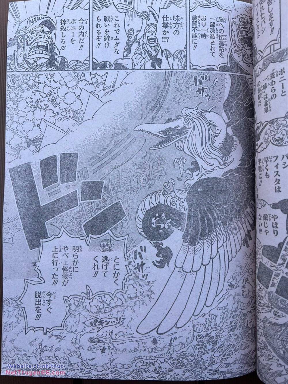 đảo hải tặc - one piece chapter 1110 11