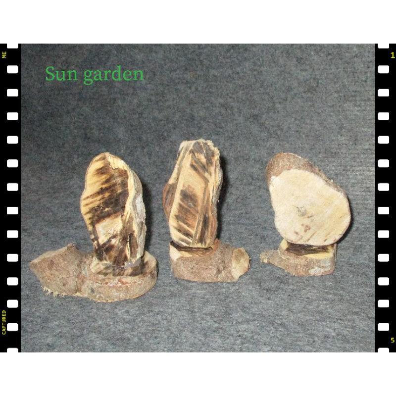 TƯỢNG GỖ MAI TRANG TRÍ SÁNG TẠO