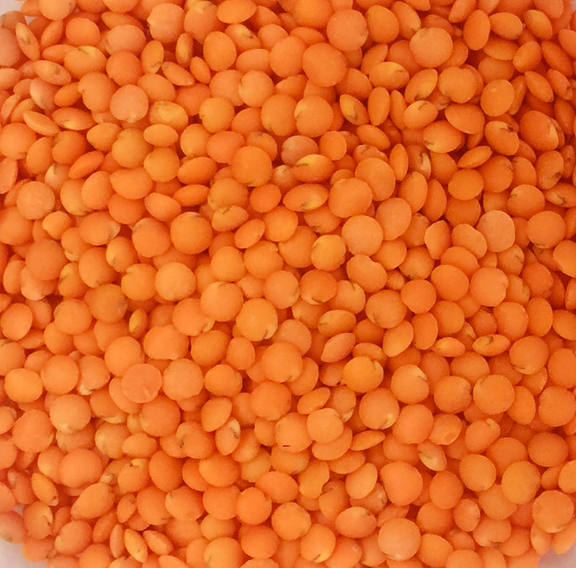 Đậu Lăng Đỏ (Red Lentils) - Canada 500g