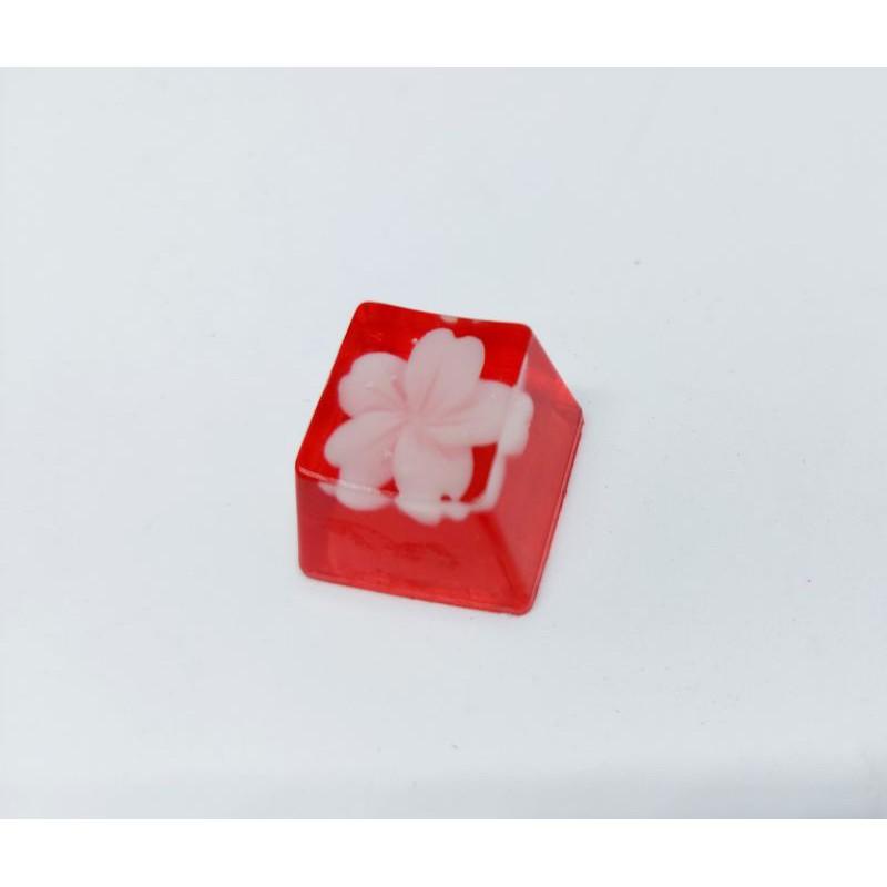 Keycap hoa đào trắng nền đỏ trang trí bàn phím cơ gaming