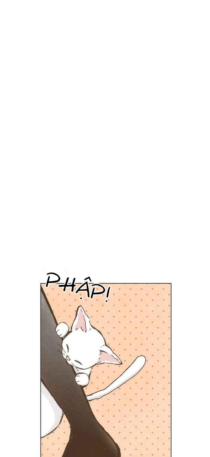 honey! honey! marry me! chapter 74 5