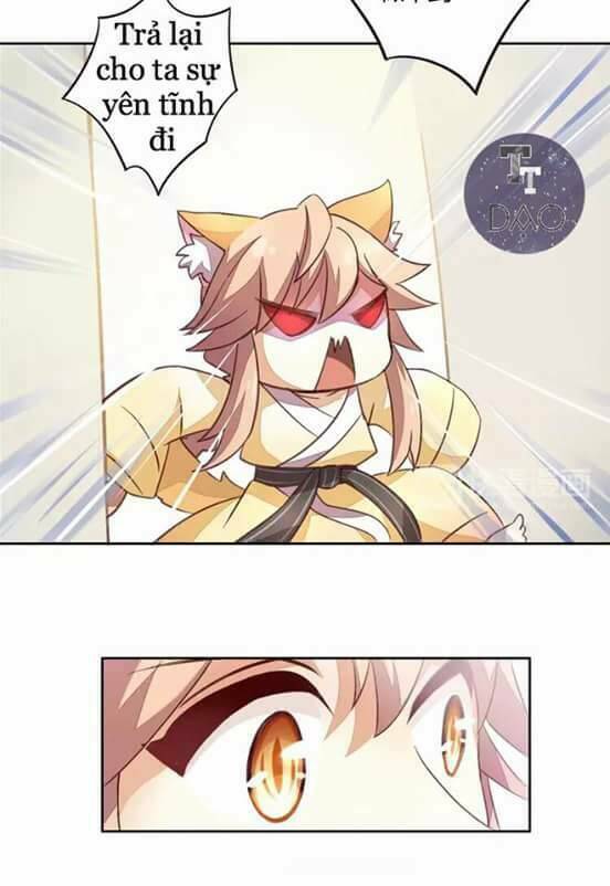 dưới móng vuốt mèo chapter 5 6