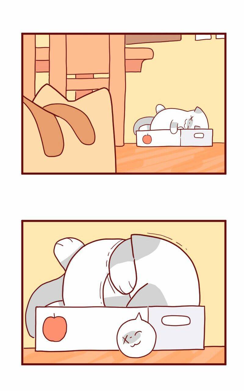 saphie: chú mèo một mắt chapter 10 10