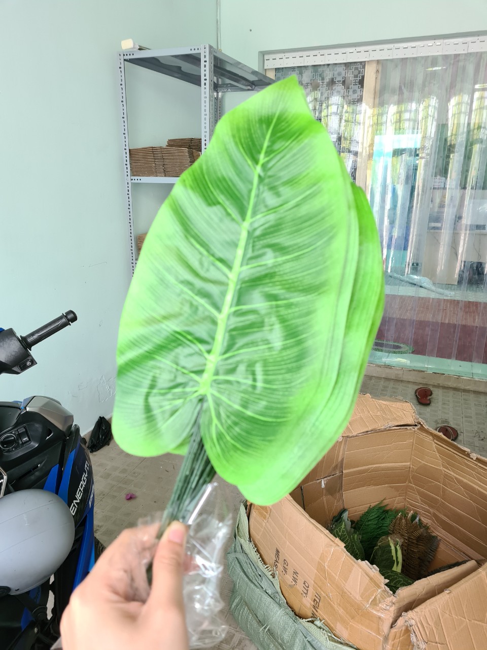 Lá Giả Trang Trí Nhà Cửa sân vườn quán Lá trầu bà đế vương xanh